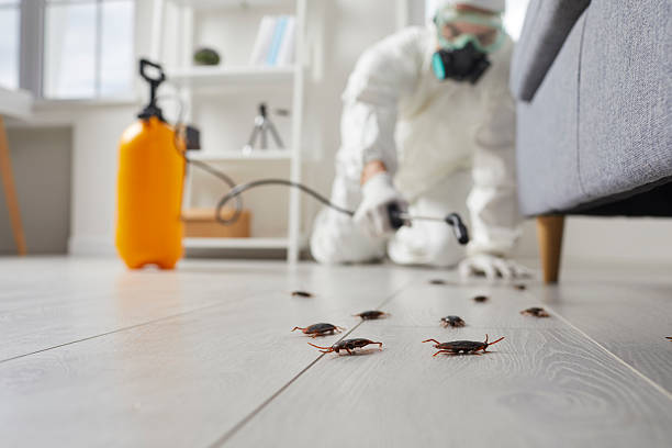 Trusted Cockroach Control service in Fairview, NJ - Nex Pest Control